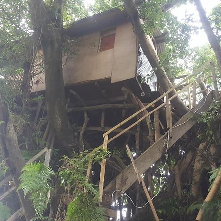 Castle Tree House And Bungalow White Sands Pokoj fotografie
