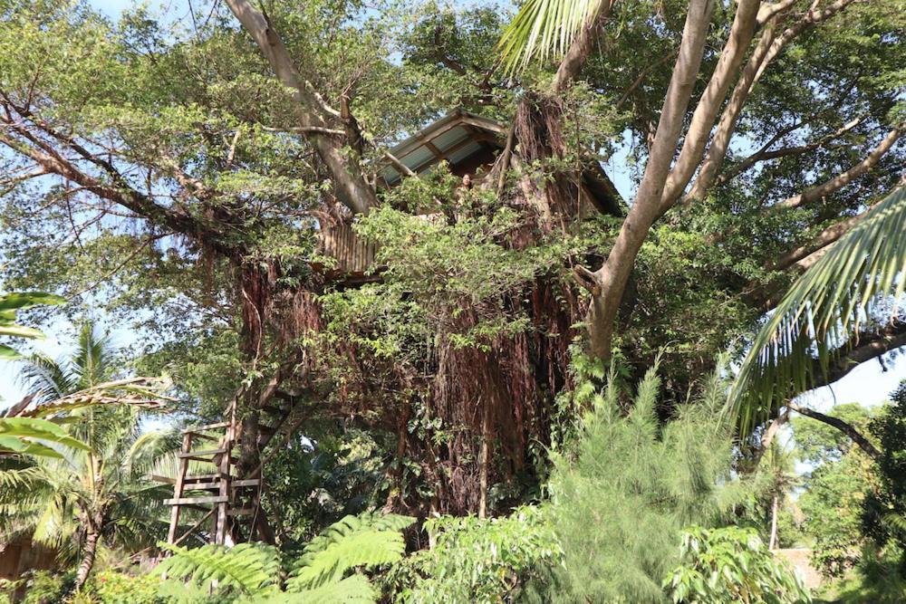 Castle Tree House And Bungalow White Sands Exteriér fotografie