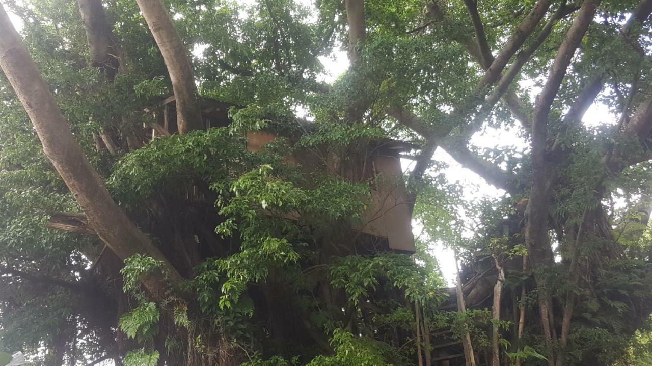 Castle Tree House And Bungalow White Sands Exteriér fotografie